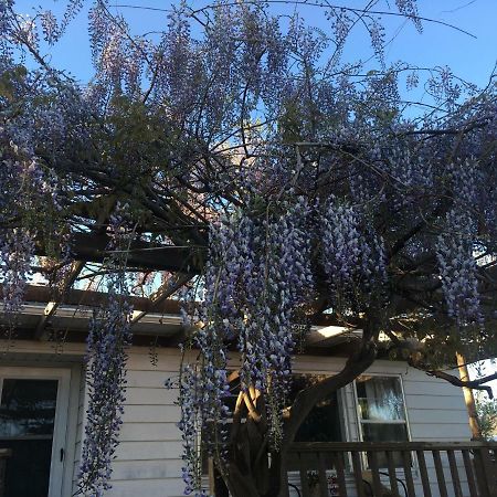 Wisteria Vine Cottage Monticello Exterior photo