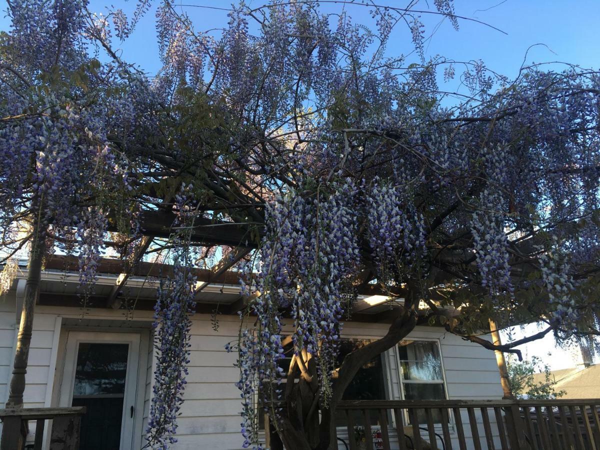 Wisteria Vine Cottage Monticello Exterior photo